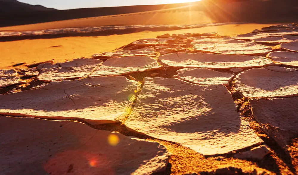 Las sequías en la Amazonía resaltan como uno de los eventos meteorológicos más preocupantes del año. Foto: Freepik Las sequías en la Amazonía resaltan como uno de los eventos meteorológicos más preocupantes del año. Foto: Freepik