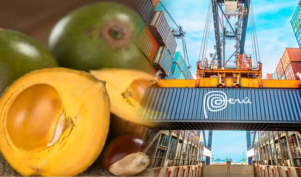 Los beneficios de esta fruta impulsan su exportación. Foto: composición LR/Andina