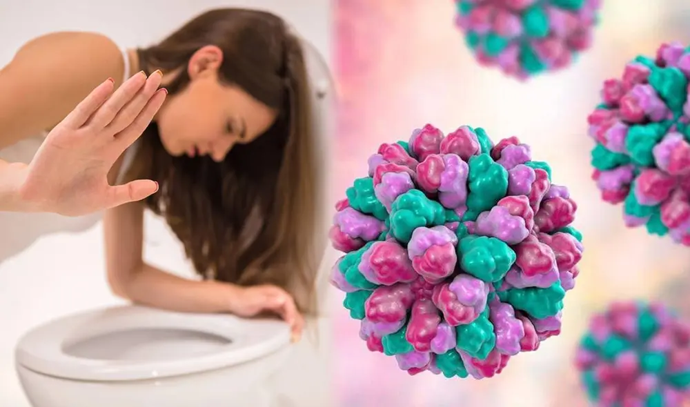 Norovirus el virus que afecta gravemente al sistema digestivo. Foto: composición LR/ United Health