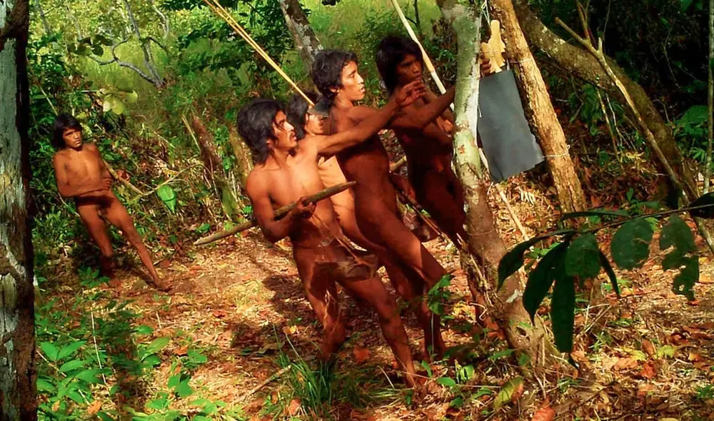 La tribu Massaco ha aumentado de 100 a 300 miembros, evidencia una expansión en su población y una sólida estructura familiar. Foto: FUNAI La tribu Massaco ha aumentado de 100 a 300 miembros, evidencia una expansión en su población y una sólida estructura familiar. Foto: FUNAI