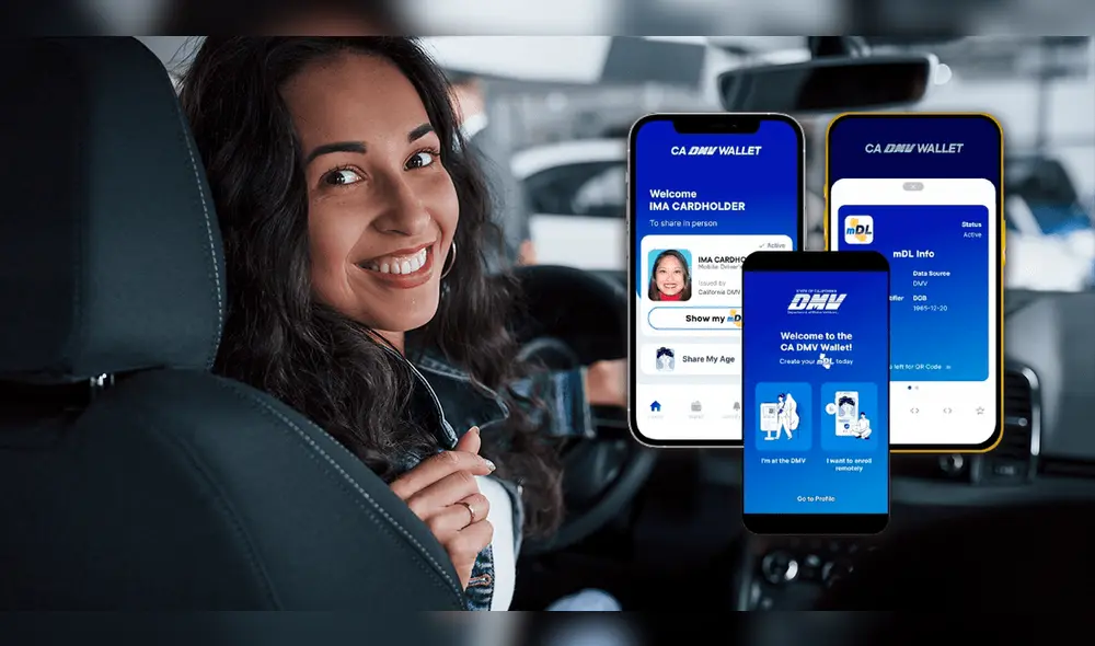 ddddfdfdfdfdf ddddfdfdfdfdf