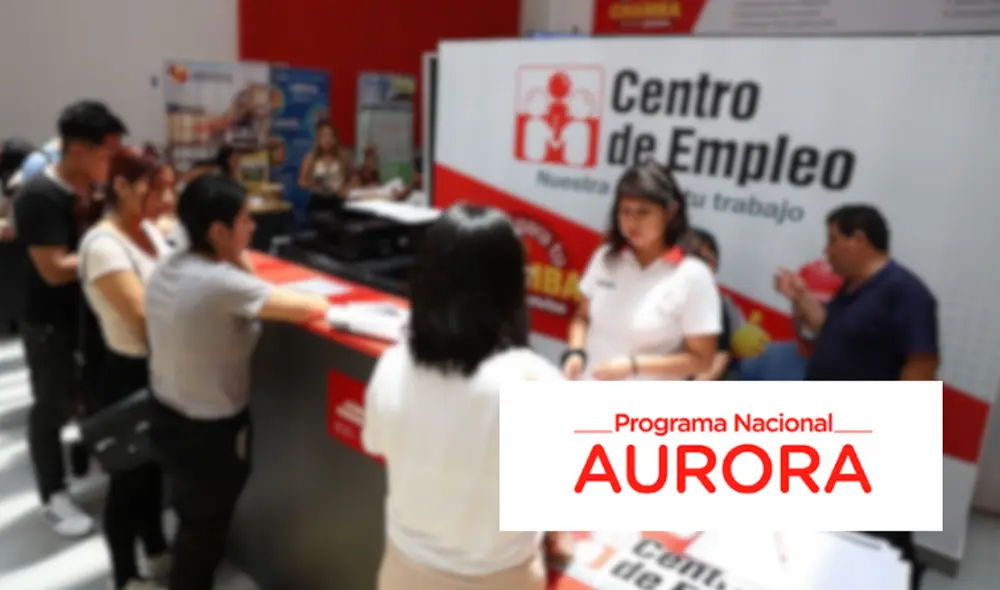 El programa Aurora busca profesionales de diversas áreas para llenar 35 plazas laborales. Foto: Andina El programa Aurora busca profesionales de diversas áreas para llenar 35 plazas laborales. Foto: Andina