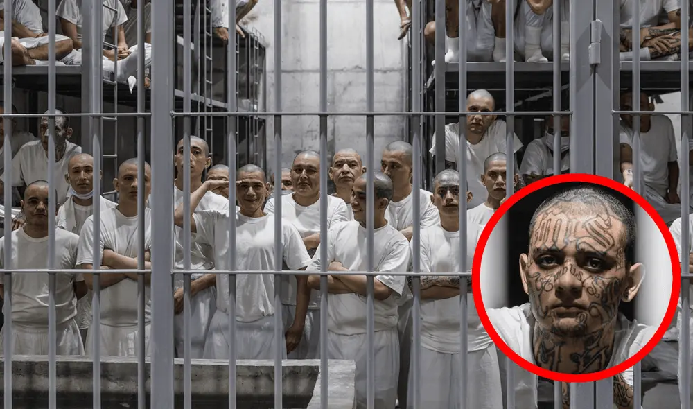 Los pandilleros provocaban el terror en la población antes de ser inmovilizados por el Gobierno de Bukele. Foto: Composición LR/La Tercera.