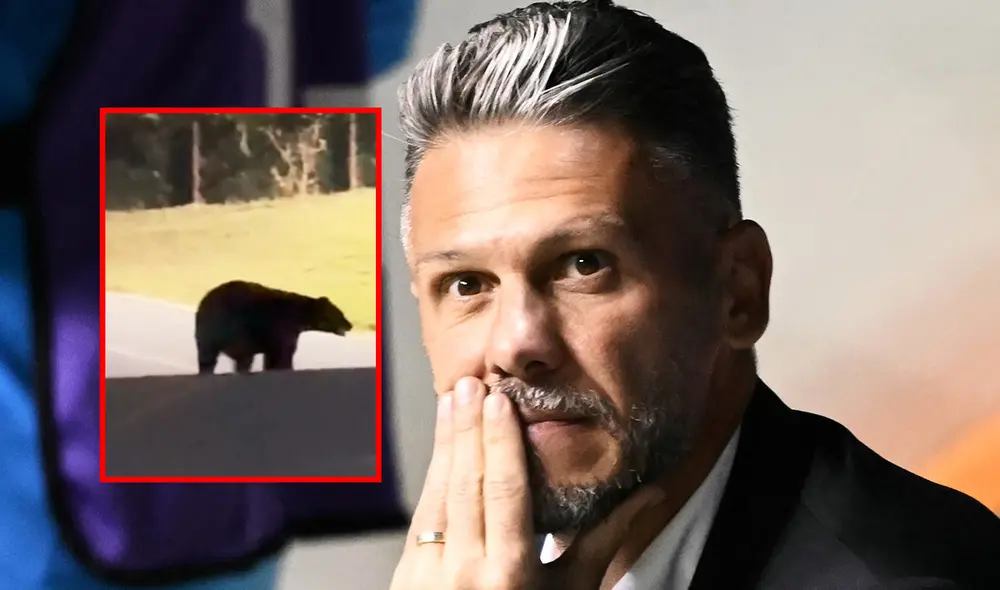 Martín Demichelis se retiró del fútbol en el año 2017. Foto: composición LR/AFP Martín Demichelis se retiró del fútbol en el año 2017. Foto: composición LR/AFP