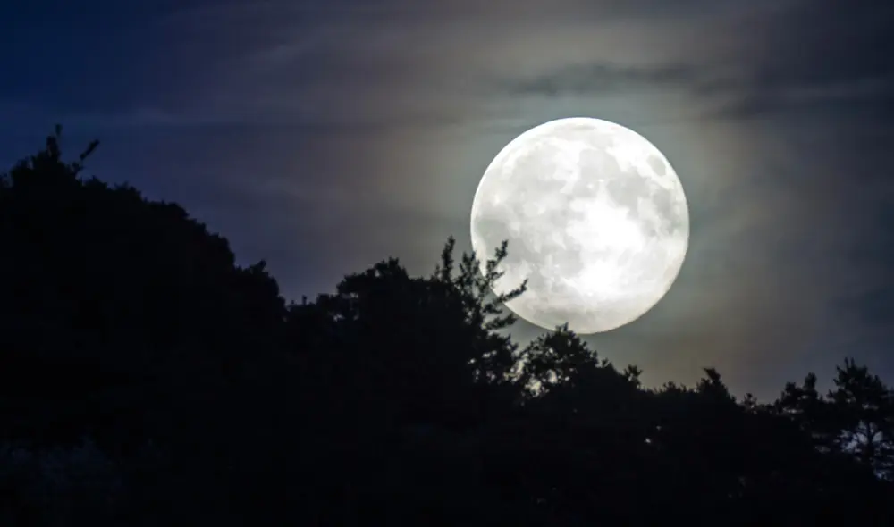 La luna llena de enero es conocida como Luna de lobo. Foto: Pixabay La luna llena de enero es conocida como Luna de lobo. Foto: Pixabay