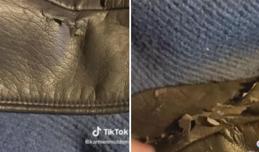 Autora de video generó varias críticas. Foto: composición LR/ TikTok