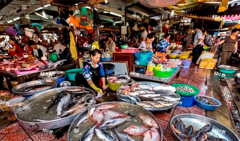 Estudio internacional revela origen del coronavirus en mercado de pescado de Huanan, China. Foto: Diario farma