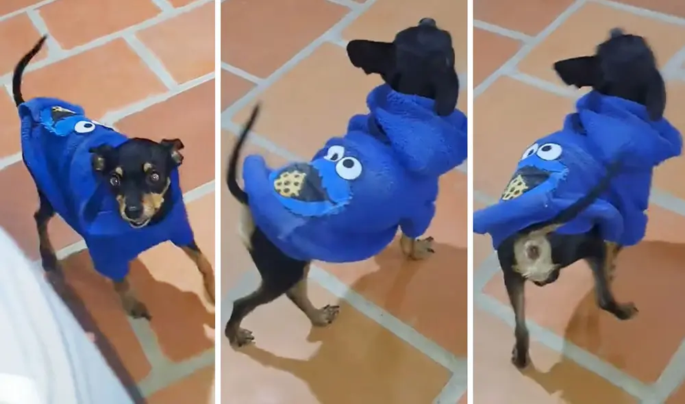 "Ni Naomi Campbell se atrevió a tanto", reaccionaron usuarios. Foto: composición LR/ TikTok