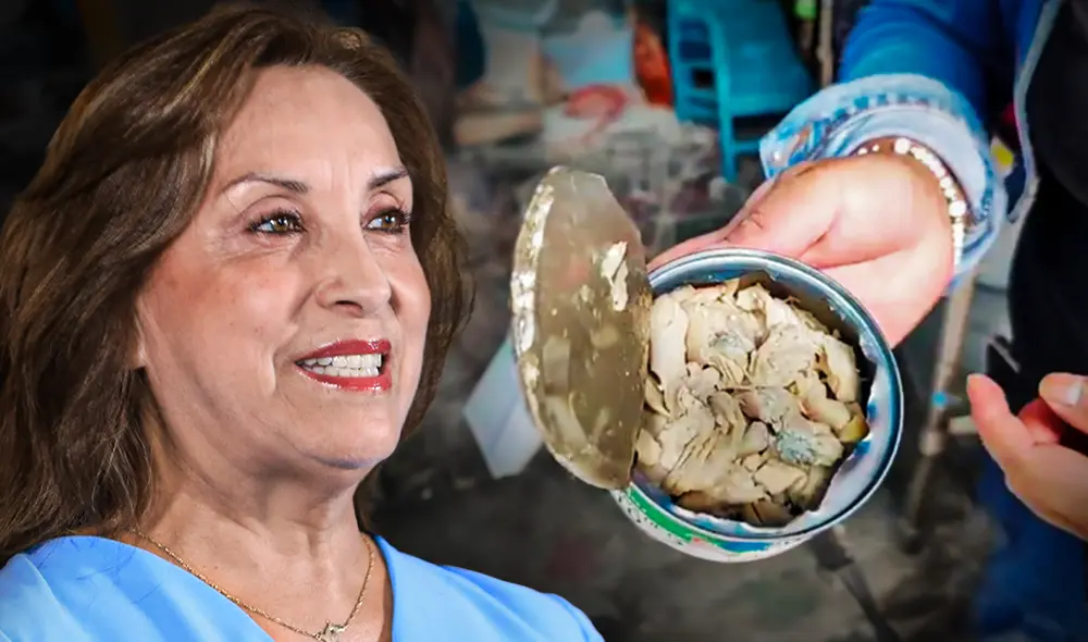 Dina Boluarte estuvo presente en la juramentación de la nueva presidenta del Poder Judicial. Foto: Composición/LR Dina Boluarte estuvo presente en la juramentación de la nueva presidenta del Poder Judicial. Foto: Composición/LR