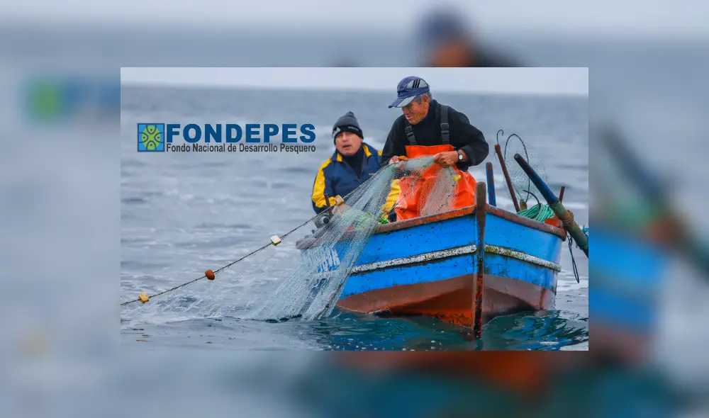 Fondepes es una entidad pública en Perú que apoya el desarrollo del sector pesquero. Foto: Composición LR/Difusión Fondepes es una entidad pública en Perú que apoya el desarrollo del sector pesquero. Foto: Composición LR/Difusión