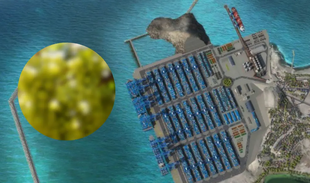 La exportación agropecuaria ha crecido 15,5% en los primeros 10 meses de 2024. Foto: composición LR/Andina