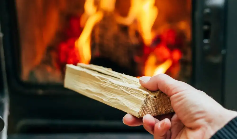 El South Coast AQMD implementa una prohibición temporal de la quema de leña en Los Ángeles, Riverside, San Bernardino y Orange. Foto: Jotul El South Coast AQMD implementa una prohibición temporal de la quema de leña en Los Ángeles, Riverside, San Bernardino y Orange. Foto: Jotul