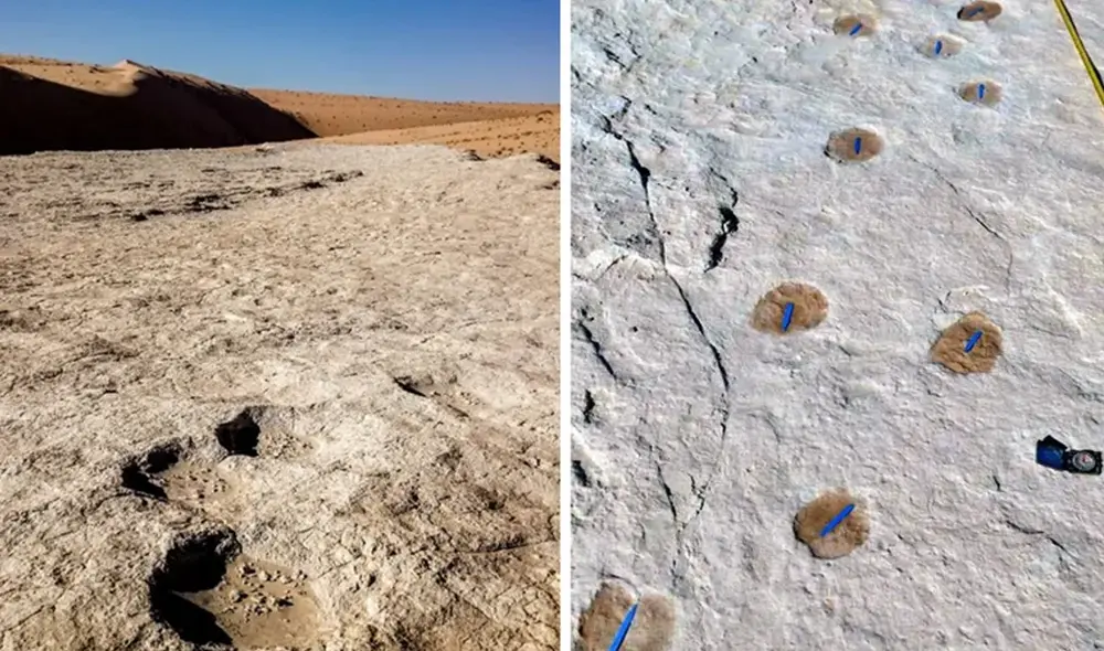 Descubren huellas humanas fósiles en Arabia Saudí que podrían reescribir la historia de la migración humana. Foto: National Geographic