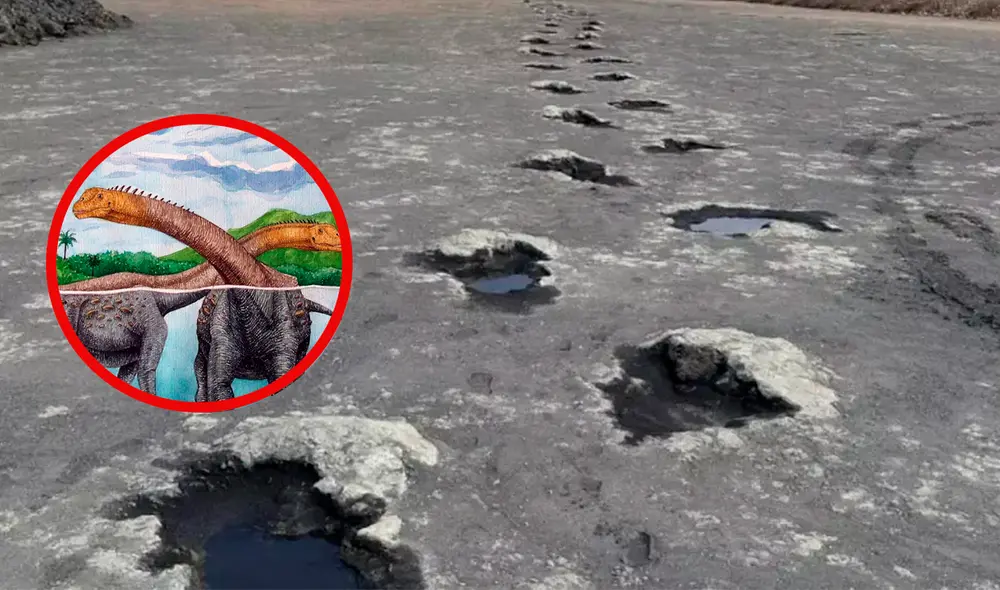Cuatro de las cinco huellas halladas pertenecen a los saurópodos, dinosaurios que alcanzaban hasta 18 metros de largo. Foto: Composición LR. Cuatro de las cinco huellas halladas pertenecen a los saurópodos, dinosaurios que alcanzaban hasta 18 metros de largo. Foto: Composición LR.