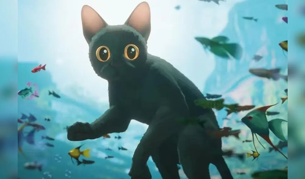 Descubre dónde ver ''Flow', la película ganadora a un Golden Globe.