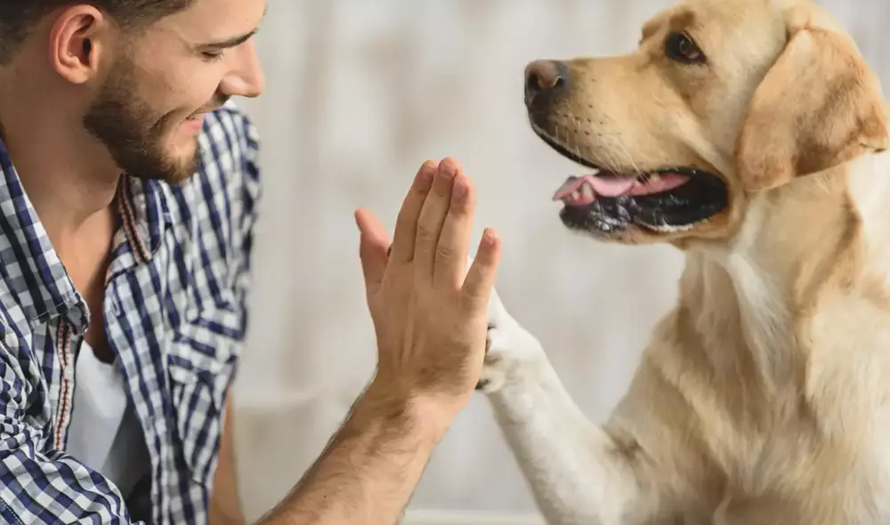 Estudio revela el impacto de los beneficios psicológicos de tener una mascota en casa. Foto: Expansión