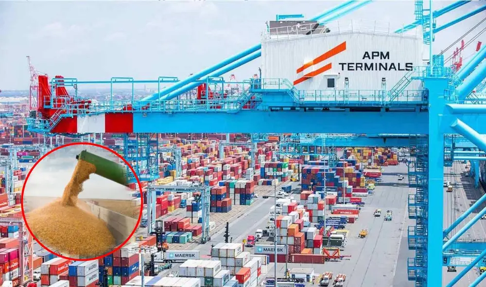 Este puerto exporta cantidades grandes de granos entre ello, el trigo, la cebada y otros. Foto: Composición LR/Andina. Este puerto exporta cantidades grandes de granos entre ello, el trigo, la cebada y otros. Foto: Composición LR/Andina.