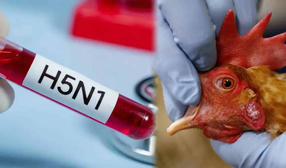 H5N1 registra su primer fallecido en Louisiana. Foto: composición LR/ Medicare USA H5N1 registra su primer fallecido en Louisiana. Foto: composición LR/ Medicare USA