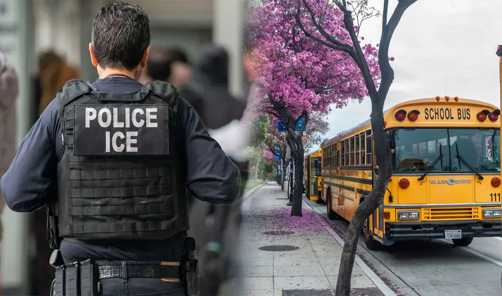 California busca proteger los derechos de los estudiantes inmigrantes y garantizar un entorno inclusivo. Foto: composición /Telemundo California busca proteger los derechos de los estudiantes inmigrantes y garantizar un entorno inclusivo. Foto: composición /Telemundo