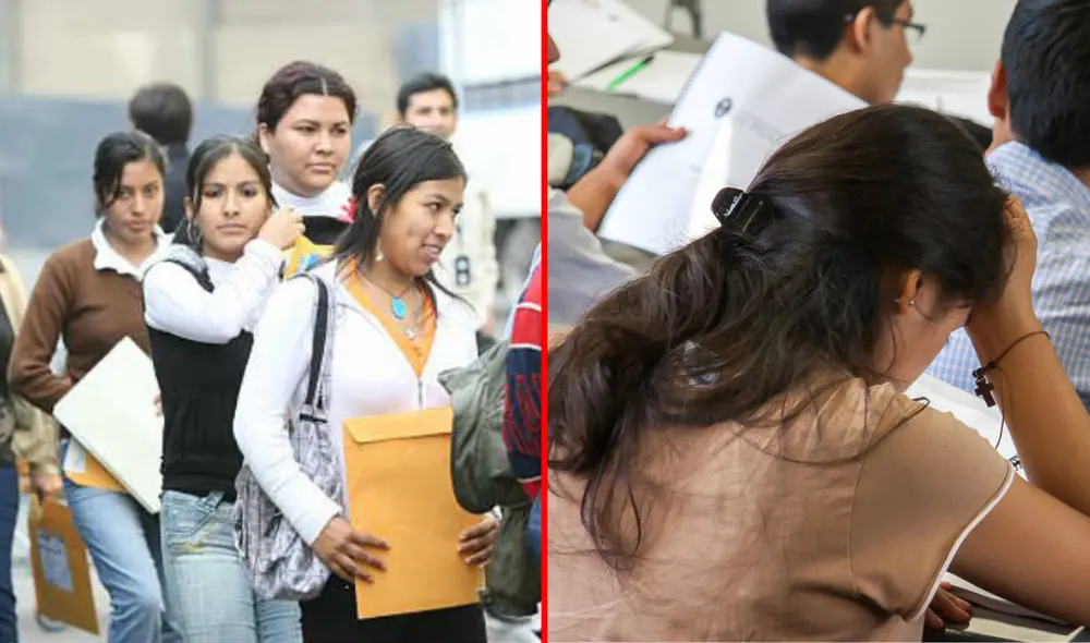 Estas tres carreras con poco demanda laboral tienen una gran cantidad de egresados, según la IA. Foto: composición LR/Agencia Andina/Difusión Estas tres carreras con poco demanda laboral tienen una gran cantidad de egresados, según la IA. Foto: composición LR/Agencia Andina/Difusión