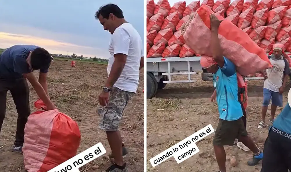 "Es igualito a mí, tengo las ganas, pero no la fuerza", reaccionaron usuarios en redes. Foto: composición LR/ TikTok "Es igualito a mí, tengo las ganas, pero no la fuerza", reaccionaron usuarios en redes. Foto: composición LR/ TikTok