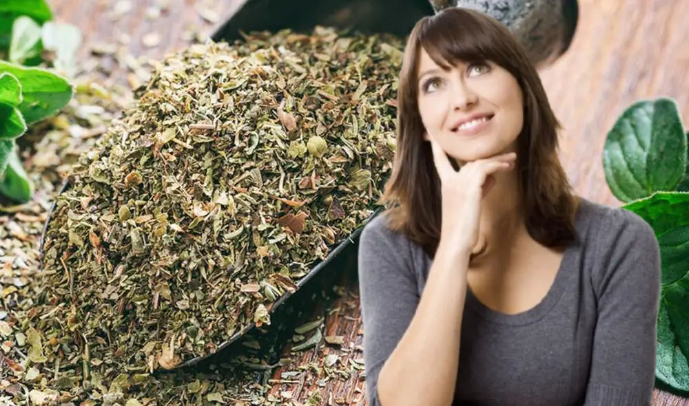 El orégano es una hierba aromática muy utilizada para realzar el sabor. Foto: Composición LR/Difusión