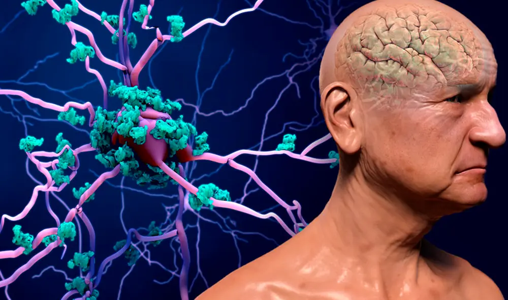 Descubrimiento de científicos estadounidenses revela impacto desigual del envejecimiento en células cerebrales. Foto: Gaceta UNAM