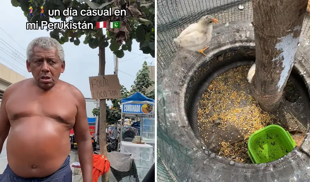 Clip viral generó divertidos comentarios. Foto: composición LR/ TikTok