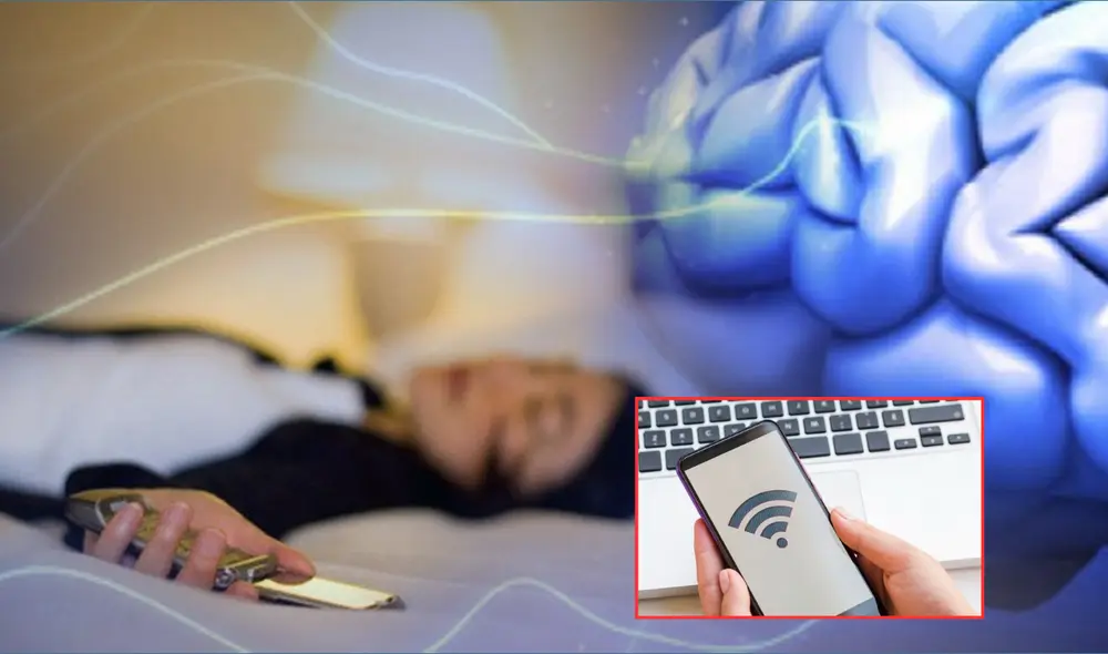 Estudios revelan que las ondas de los teléfonos móviles y del Wifi pueden causar un daño irreversible a los humanos y animales. Foto: composición LR/Fundación UNAM/La Razón de México