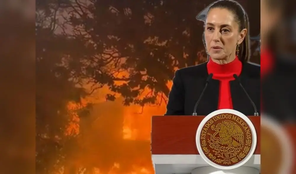 Sheinbaum explicó la importancia de apoyar a sus compatriotas afectados por el incendio en Los Ángeles. Foto: CDN Sheinbaum explicó la importancia de apoyar a sus compatriotas afectados por el incendio en Los Ángeles. Foto: CDN