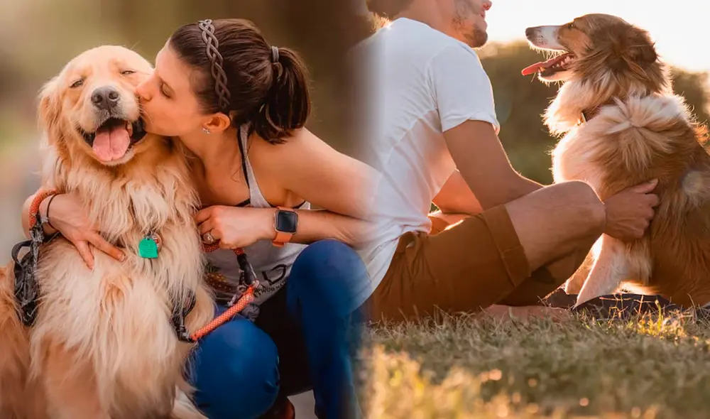 Estudio revela que los perros pueden identificar a sus dueños solo con escuchar su voz. Foto: composición LR