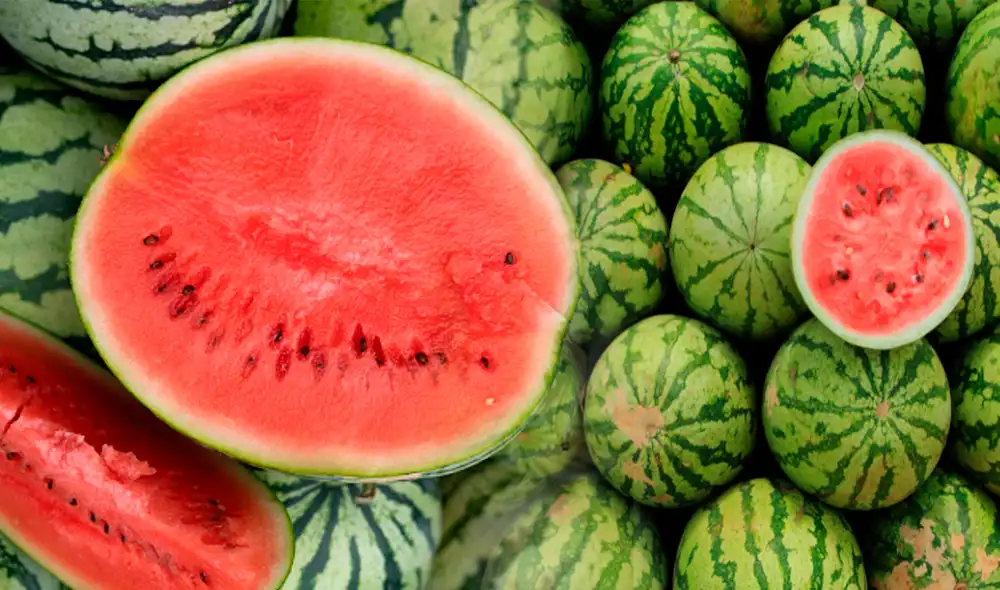 La sandia es muy consumida durante la época de verano. Foto: Composición LR/Andina. La sandia es muy consumida durante la época de verano. Foto: Composición LR/Andina.