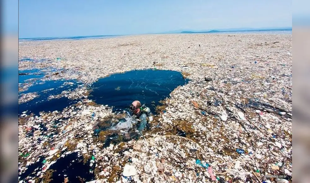Peligro. La isla está formada por bolsas y otros envases. Peligro. La isla está formada por bolsas y otros envases.