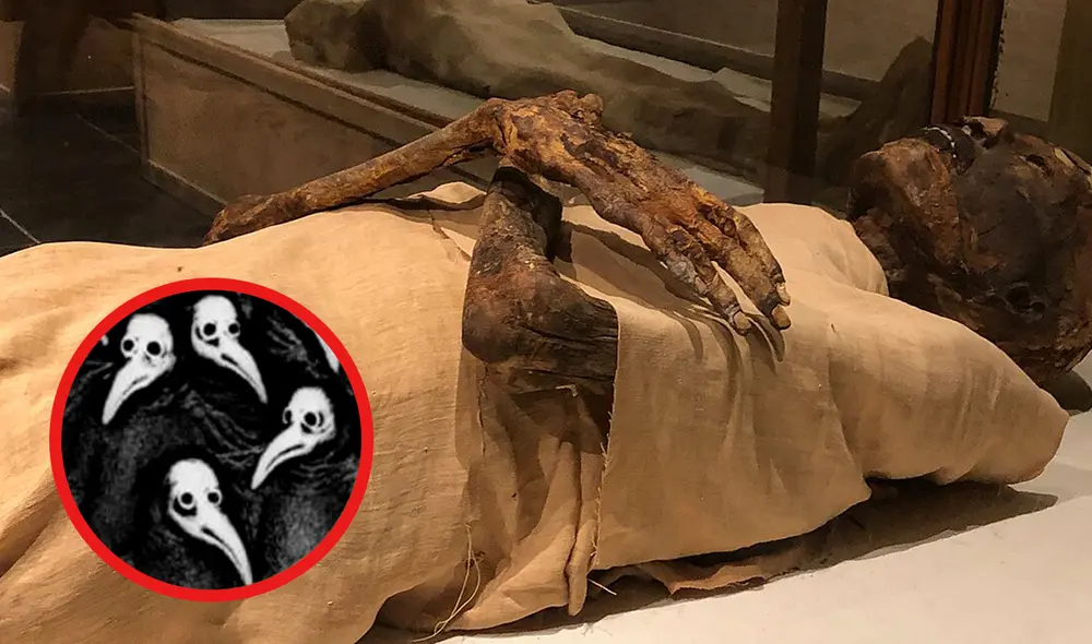 Los restos pertenecen a una persona con posibles síntomas graves de la enfermedad al momento de morir. Foto: Composición LR. Los restos pertenecen a una persona con posibles síntomas graves de la enfermedad al momento de morir. Foto: Composición LR.