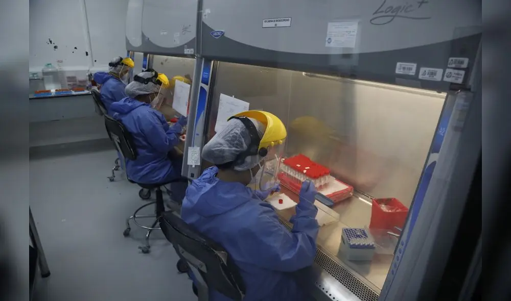 Tecnología. La ciencia ofrece una nueva posibilidad para enfrentar al dengue. Se busca que mosquitos pierdan la capacidad de trasmitir la enfermedad.