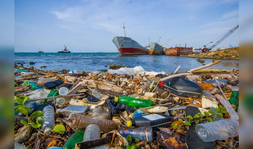 Muchos de estos desechos terminan en el mar y ríos generando daño ambiental.