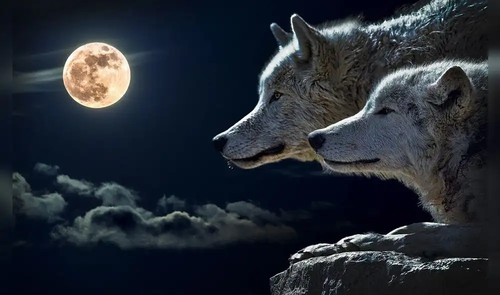 Este evento cósmico ha captado la atención de millones de personas en USA y a nivel mundial. Foto: CDN