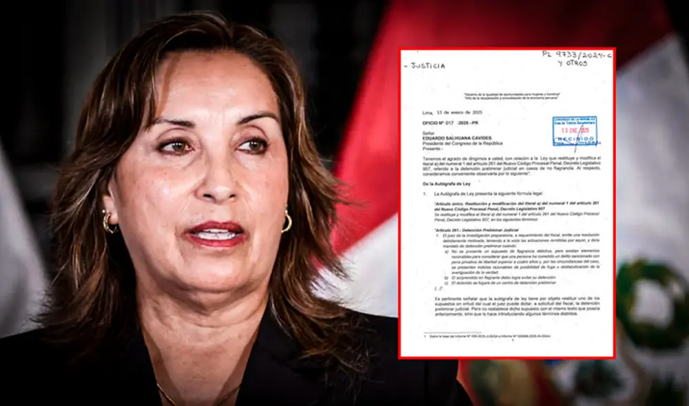 Dina Boluarte busca limitar la detención preliminar a delitos violentos muy graves. Ilustración: Gerson Cardoso