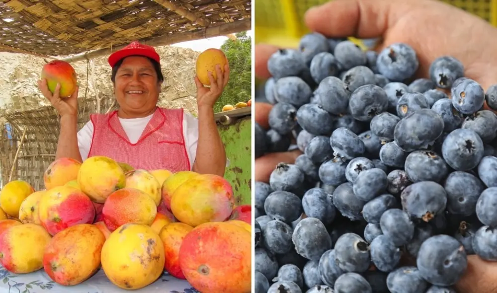 En noviembre, el mango creció 433%, mientras que el arándano duplicó su producción. Foto: composición LR/Andina En noviembre, el mango creció 433%, mientras que el arándano duplicó su producción. Foto: composición LR/Andina