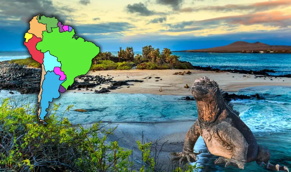 Las Islas Galápagos de Ecuador combinan paisajes volcánicos desérticos y vegetación densa. Foto: composición LR/Catai/Civitatis/Cerebriti