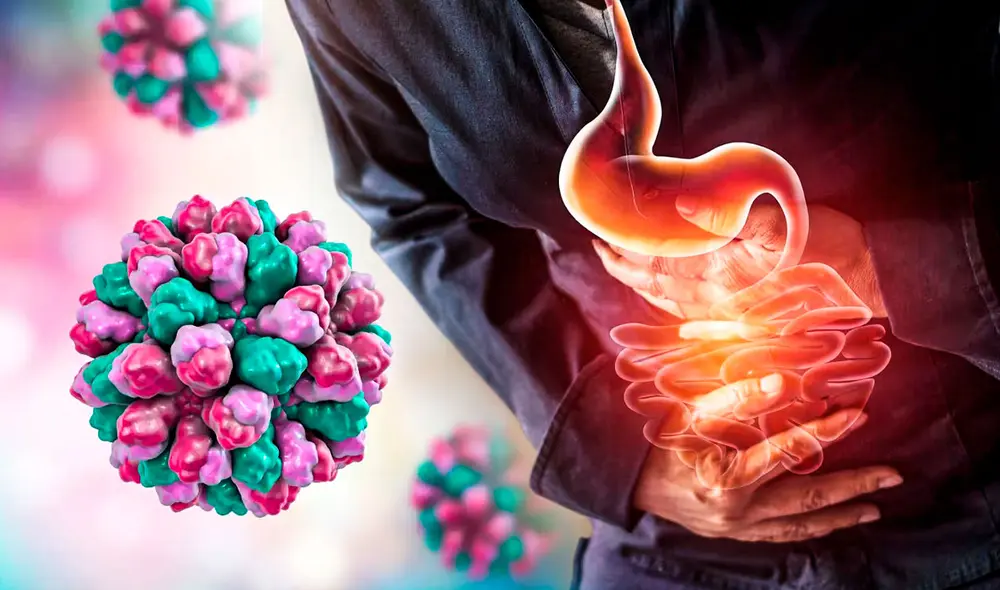 Los primeros signos suelen aparecer entre 12 y 48 horas después de la exposición. Foto: Composición LR/Shutterstock/El Financiero.