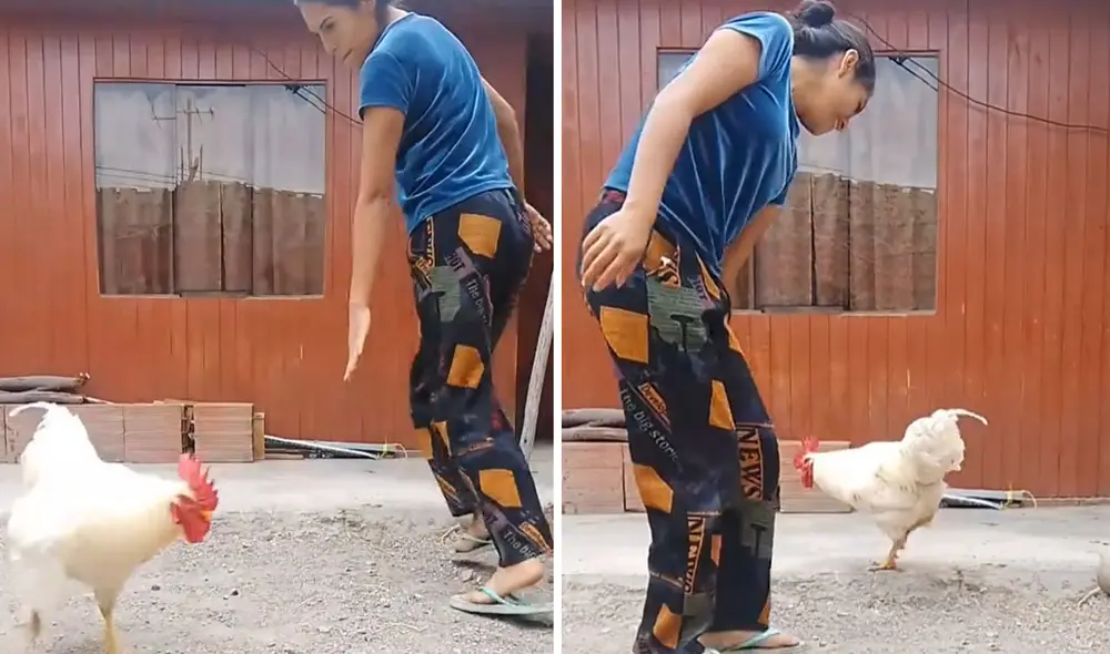 "En Perú nunca te aburres", reaccionaron usuarios en redes. Foto: composición LR/ TikTok "En Perú nunca te aburres", reaccionaron usuarios en redes. Foto: composición LR/ TikTok