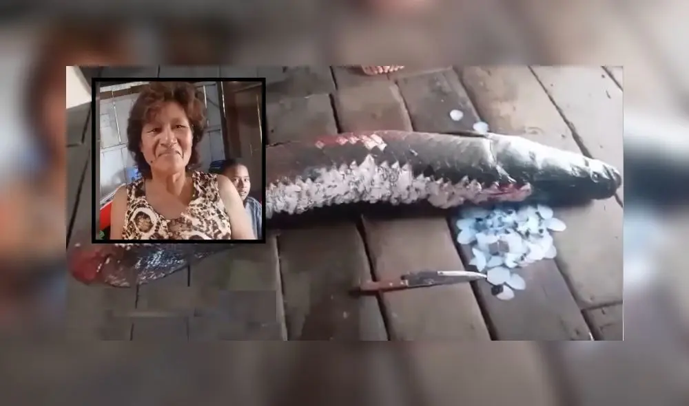 Dueña se mostró sorprendida por el enorme paiche. Dueña se mostró sorprendida por el enorme paiche.