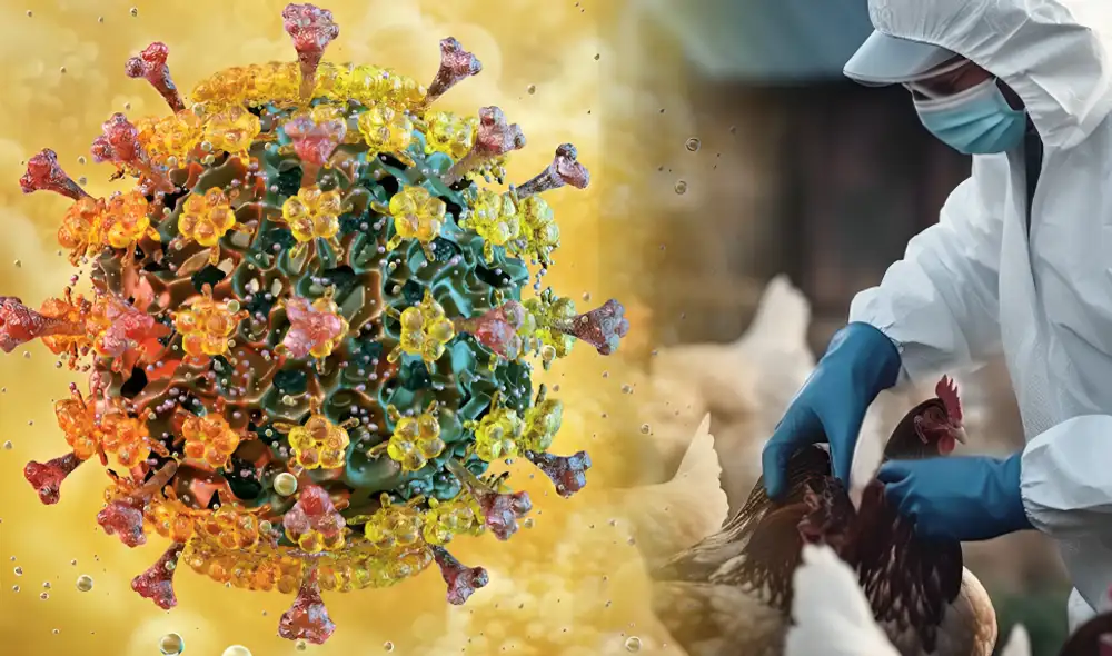 La gripe aviar, causada por el subtipo H5N1 del virus de influenza A, ha generado preocupación por su impacto en humanos y animales. Foto: composición LR/difusión