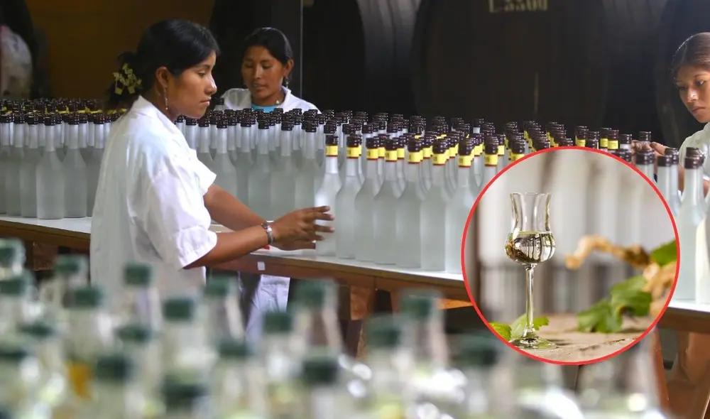 Pisco peruano es unas de las bebidas de mayor consumo. Foto: Composición LR/Andina.