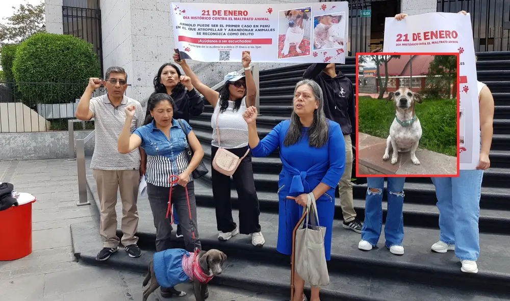 Se le acusa a la abogada por el delito de abandono y crueldad animal. Foto: composición LR. Se le acusa a la abogada por el delito de abandono y crueldad animal. Foto: composición LR.