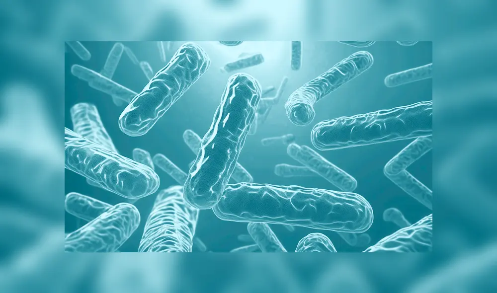 Dr. Moisés Barrantes