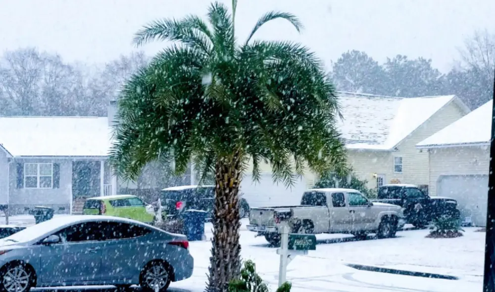 Las zonas del norte de Florida tienen más probabilidades de experimentar nevadas ocasionales en comparación con el sur. Foto: Miami Hispano Las zonas del norte de Florida tienen más probabilidades de experimentar nevadas ocasionales en comparación con el sur. Foto: Miami Hispano