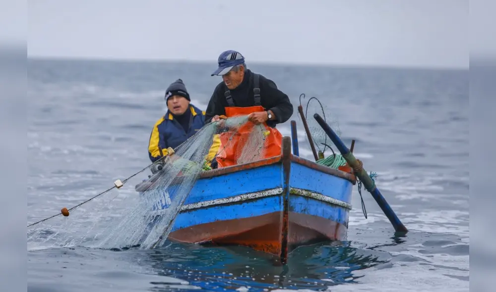 Las modificaciones al Reglamento de la Ley General de Pesca permitirían la pesca industrial sin sanciones, lo que inquieta a exfuncionarios por su posible impacto en la biodiversidad. Foto: difusión