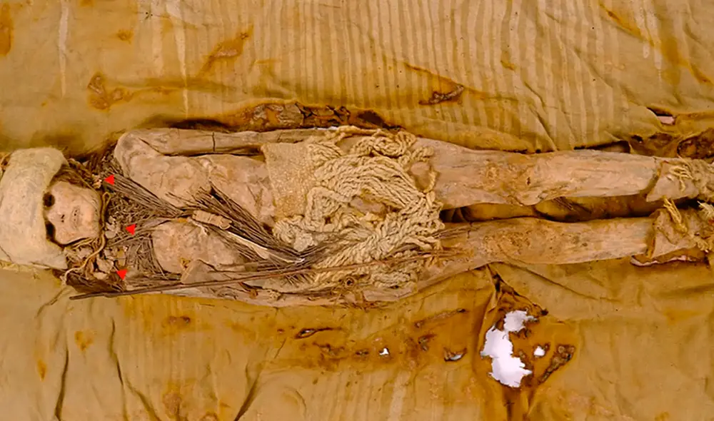 Descubrimiento de queso de 3.600 años en momias de la cuenca del Tarim revela secretos de la antigua producción láctea. Foto: 20 Minutos Descubrimiento de queso de 3.600 años en momias de la cuenca del Tarim revela secretos de la antigua producción láctea. Foto: 20 Minutos